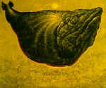 The Fish. 1995. Canvas, oil. 100*120. In a private collection.